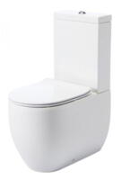 Lavabo FLO back-to-wall toilet med skjult P-lås